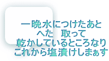 一晩水につけたあと へた　取って 乾かしているところなり これから塩漬けしまぁす